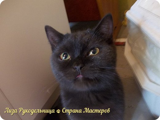 таким. весь грязный и пыльный!
но мы его вымыли. (фото 9)