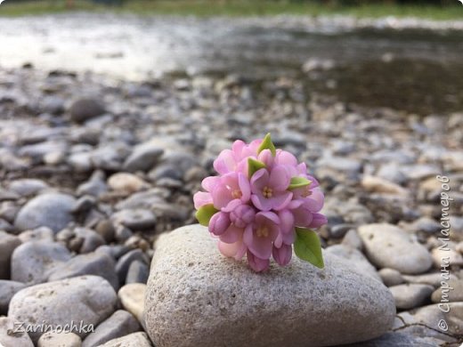 Кольцо. Фотографировала я в Осетии на речке. (фото 2)