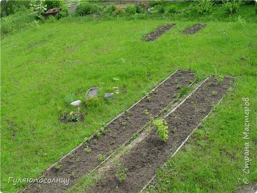 Огромный привет всем жителям страны! Очень скучала по Вашим работам, сейчас есть возможность показать Вам мое творение-именно оно заняло мое время и мои мысли на  долгое время. На фото фрагмент моего дачного участка,скучно, правда?! Всю зиму я изучала дачный дизайн, пересмотрела кучу видео с рассказами что и как, выучила десятки названий цветов, кустарников и проч. (фото 1)