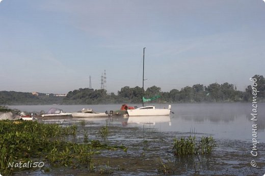 Тарелочка с черешней и заколочки.. (фото 8)