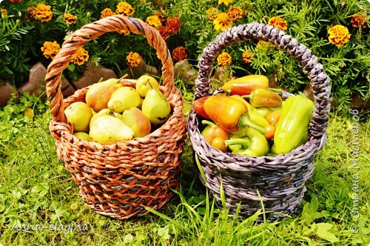 Корзинки для грибов, ягод, фруктов...Из газетных трубочек. (фото 2)