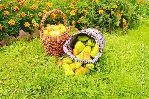 Корзинки для грибов, ягод, фруктов...Из газетных трубочек. (фото 4)