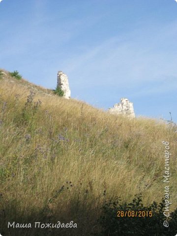 Поездка в Дивногорье (фото 37)