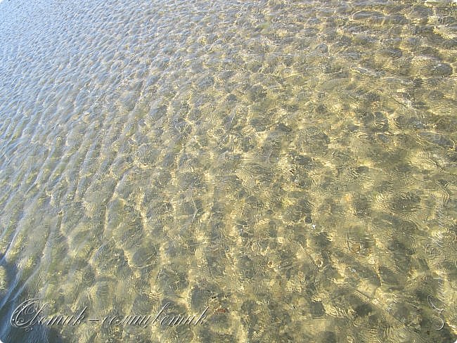 Только море и небо над ним, только чайки свободный полет... (фото 9)