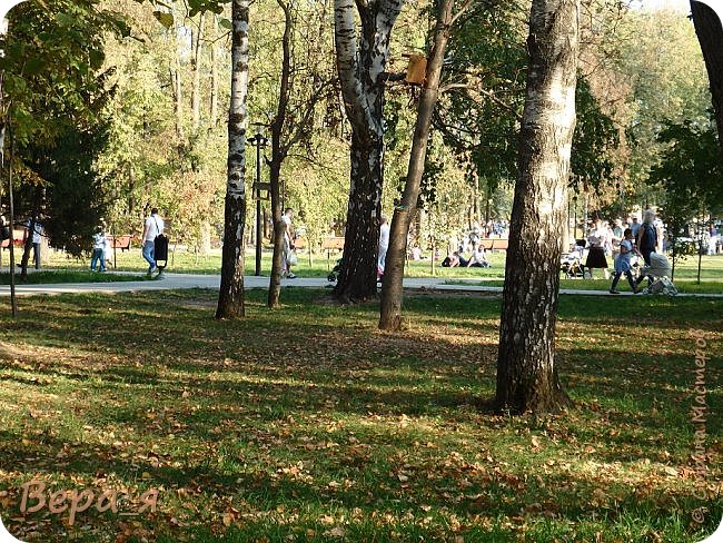 Доброго времени суток, жители Страны Мастеров!
Сегодня я выступаю с необычной для себя техникой, а именно "фоторепортаж".
Дело в том ,что идея показать Вам свою любимую Казань зрела у меня давно, но не было - то времени, то сил, то желания, то фотоаппарата..
Но вот наконец настал день, когда все эти причины перестали существовать, и я с радостью выполняю данное самой себе и еще одной мастерице обещание показать мою любимую Казань.
Итак, это парк Горького. Остановка общественного транспорта ЦПКиО имени М. Горького.