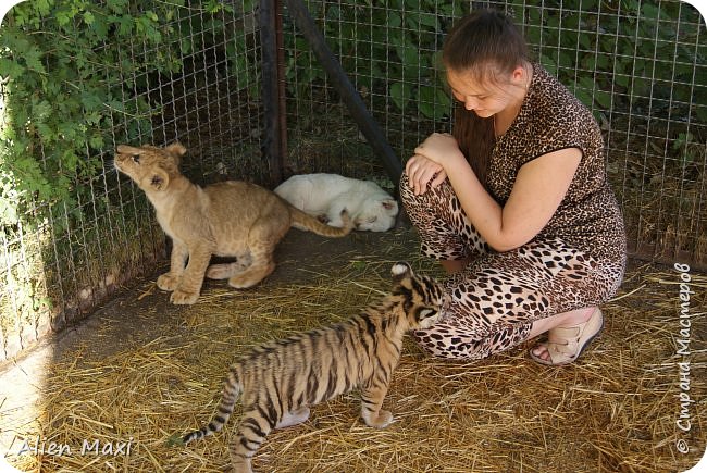 -Я вам не Тиграша и с девчонками не дружу! (фото 12)