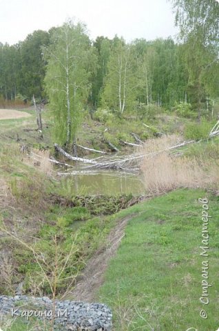 по дороге в деревню (фото 8)