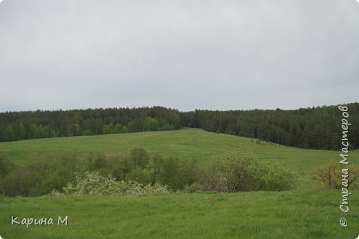 Вело путешествие в д. Битюки Тюменская обл. (фото 20)