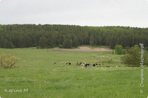 Вело путешествие в д. Битюки Тюменская обл. (фото 30)