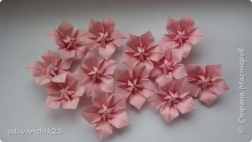 Цветы Candy flower, автор - Erika Matsui
Origami Tanteidan convention  Vol.20  (фото 3)