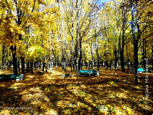 НА КАВКАЗЕ ЗОЛОТАЯ ОСЕНЬ (фото 9)