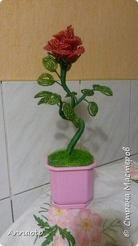 А дальше меня затянуло и пошли цветы, как семечки)))))) Роза! (фото 8)