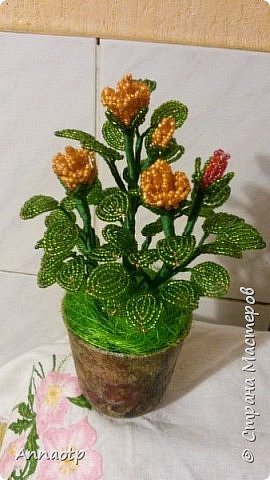 Розочка кустовая! (фото 11)