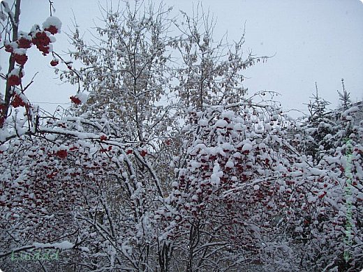 8 ЛЕТ САЙТУ: БЕСКОНЕЧНЫЕ ВОЗМОЖНОСТИ. (фото 6)