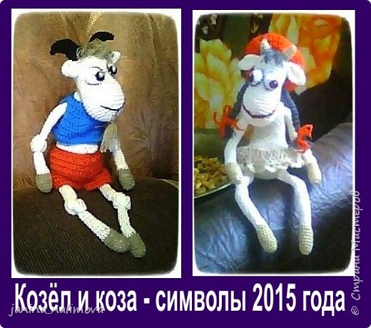 символы 2015 и 2016 года (фото 3)