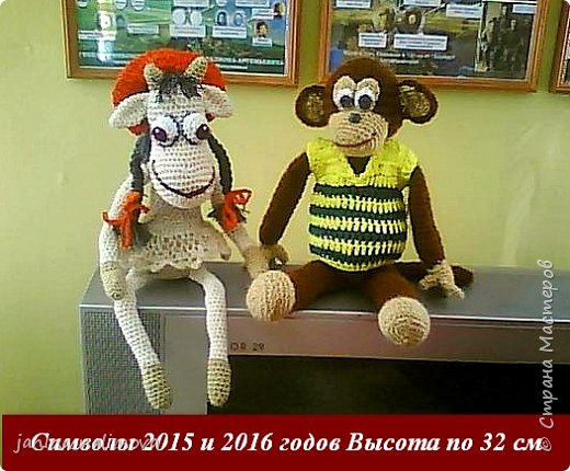 символы 2015 и 2016 года (фото 1)