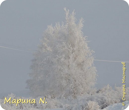 А  это  - немного  снега для новогоднего  настроения...Две  недели  на  улице  было  вот  такая  СКАЗКА и  морозец  до  -30... Сейчас  потеплело, но ненадолго.... (фото 9)