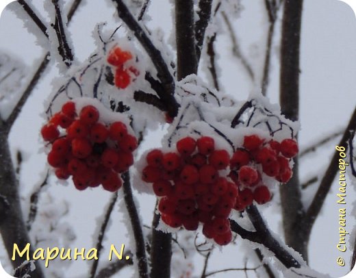 Броши из фоамирана (фото 11)