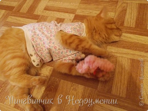 *Мимимимишность* (фото 6)