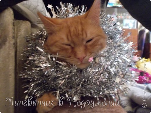 А это мы наряжали ёлку:)Ну и кота:))) (фото 12)