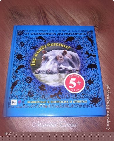Еще один бегемот поселился у Татьяны в виде книги. Купила в книжном магазине книгу "Где живет бегемот? Животные в вопросах и ответах" и написала в ней такие слова:
"Хочешь узнать интересное что-то, книгу прочти ты про БЕГЕМОТА!"
Выходные данные книги:
Переводчик: Жиркова Татьяна Юрьевна
Редактор: Цветкова Наталья В.
Издательство: Эксмо, 2013 г.
Страниц: 80 (Мелованная)
Масса: 520 г
Размеры: 246x225x14 м
Тип обложки: 7Б - твердая (плотная бумага или картон)
Оформление: Тиснение золотом, Пухлая обложка
Иллюстрации: Цветные
(фото 10)
