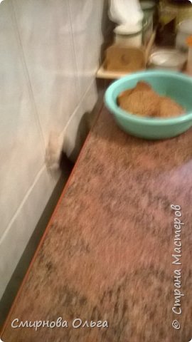 Это не испорченный кадр...Это кому-то очччень захотелось тоже получить вкусненькое... (фото 17)