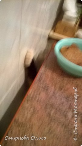 Вот она, наглая лапа.... (фото 18)