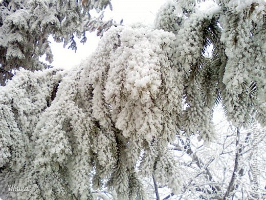 Зимушка-зима. СнЕжное г.СнЕжное. (фото 4)