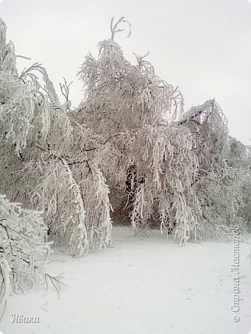 Зимушка-зима. СнЕжное г.СнЕжное. (фото 13)