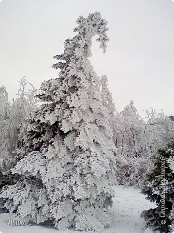 Зимушка-зима. СнЕжное г.СнЕжное. (фото 20)