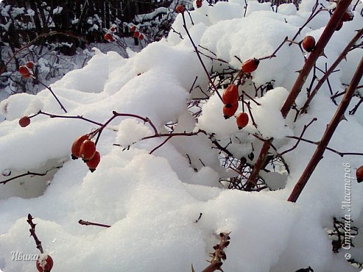 Зимушка-зима. СнЕжное г.СнЕжное. (фото 28)