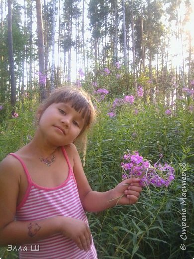 Лето было на редкость щедрым - в лесу собирали малину, клубнику, землянику, грибы, и конечно травы. Наш Иван чай по душе племяннице (фото 8)
