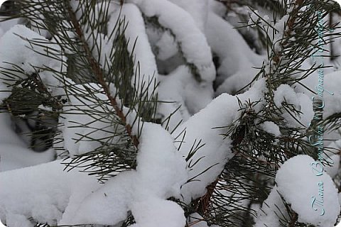 Снег, лежавший у её ног, стал белым покрывалом ,а не как раньше холодным,колким льдом. 
 Её сердце оттаяло. (фото 8)