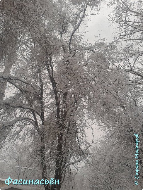 Весенний альбом. (фото 18)