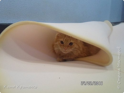 весь домик обклеила поролоном, Без Крысика никуда))) (фото 5)