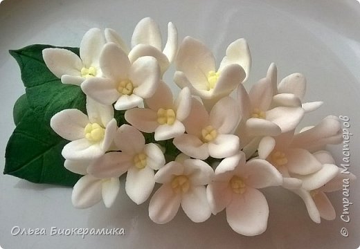Вот и я решила полепить из холодного фарфора :) Представляю вам на суд свои  первые работы. (фото 1)