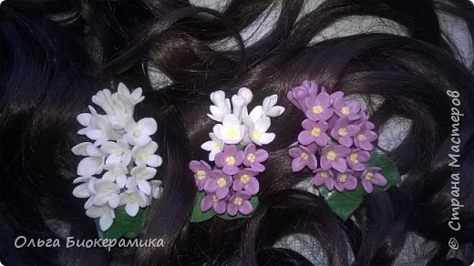 Сделала  из этих веточек зажимы для волос. (фото 3)