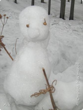 Дурачились на природе и налепили уйму разных друзей..этого назвали Кокованей, ну вот такой он первый весенний птыц :-) (фото 5)