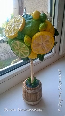 Солёный топиарий "Цитрус" (фото 3)