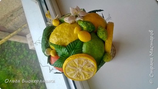 Вид сверху. (фото 5)