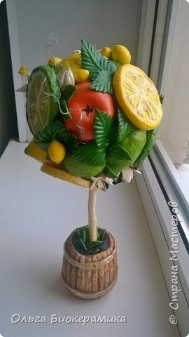 У меня выросло новое солёное деревце :) Думаю, оно будет отлично смотреться в кухне или на застеклённом балконе. (фото 1)