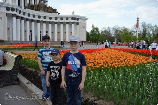 На ВДНХ столько тюльпанов, что невозможно спокойно пройти мимо, фотографировались на каждом шагу))))) (фото 52)