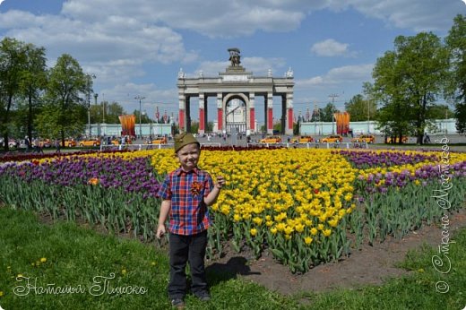 Вся территория ВДНХ утопает в тюльпанах!!!  (фото 3)