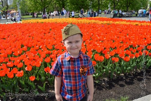 Эти весенние цветы всем своим видом будто бы воспевают хвалу всем защитникам Родины. (фото 4)