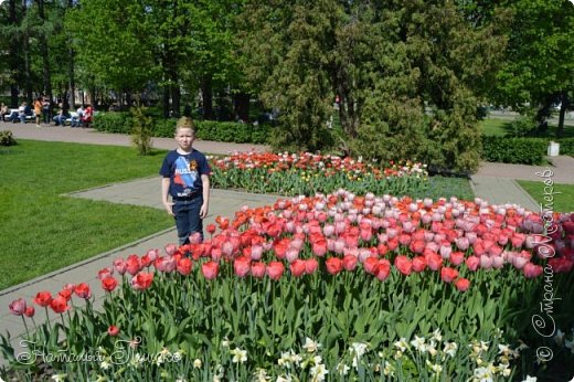 И никакие, даже самые экзотические и дорогостоящие цветы, не подарят столько положительных эмоций, как привычные сердцу простые цветы. Несомненно, тюльпаны вызывают чувство эйфории и ощущение радости! (фото 7)