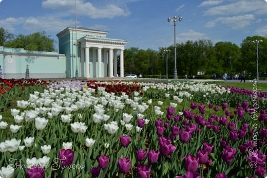 Ещё раз полюбуемся красивейшими тюльпанами и "нырнём" в подземку метро) (фото 14)