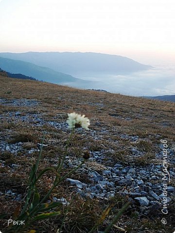 Номинация №5 Пейзажи
Рассвет на горе Ай-Петри (Крым)Рассвело
А где-то внизу, под облаками Ялта... (фото 18)