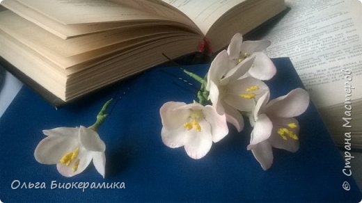 С разных ракурсов. (фото 2)