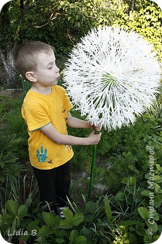 Супер-цветы (фото 2)