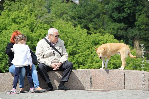 Сегодня - Международный день друзей (фото 17)